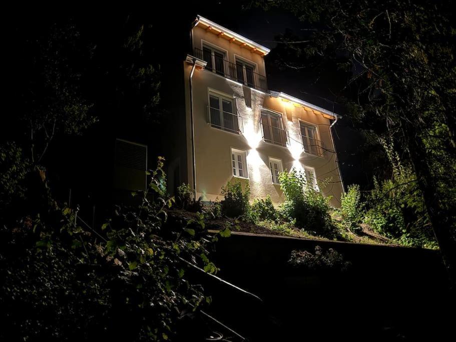 Ferienwohnung Zur Donauinsel Bad Abbach Exterior foto