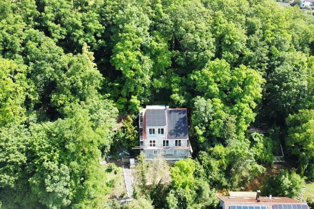 Ferienwohnung Zur Donauinsel Bad Abbach Exterior foto